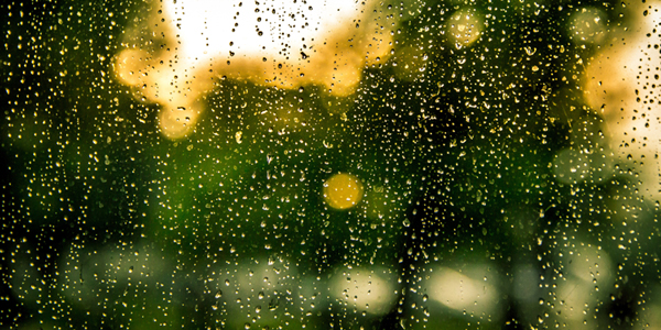 rain through a window