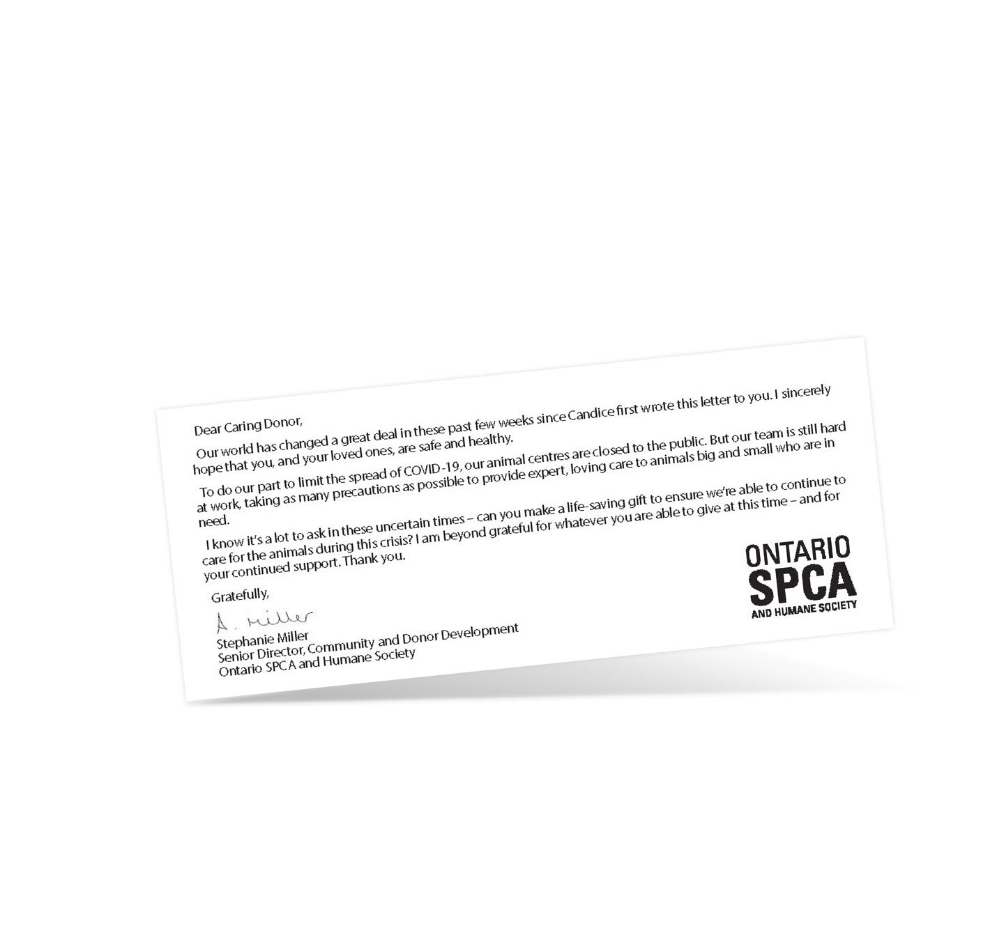 OSPCA-Buckslip - portfolio image