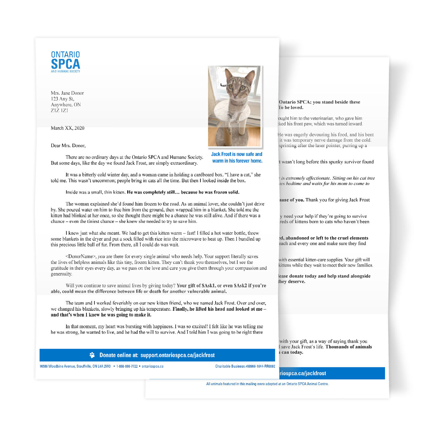 OSPCA Letter - portfolio image